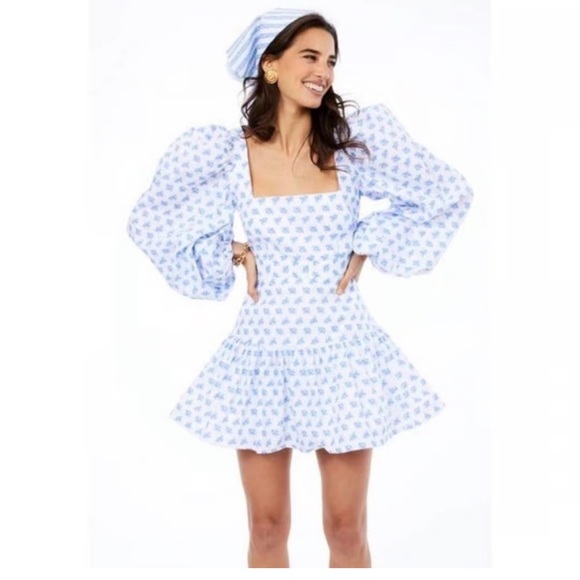 Caroline Constas Julian Dress in Blue
Mini Floral Sz Large - Picture 1 of 16